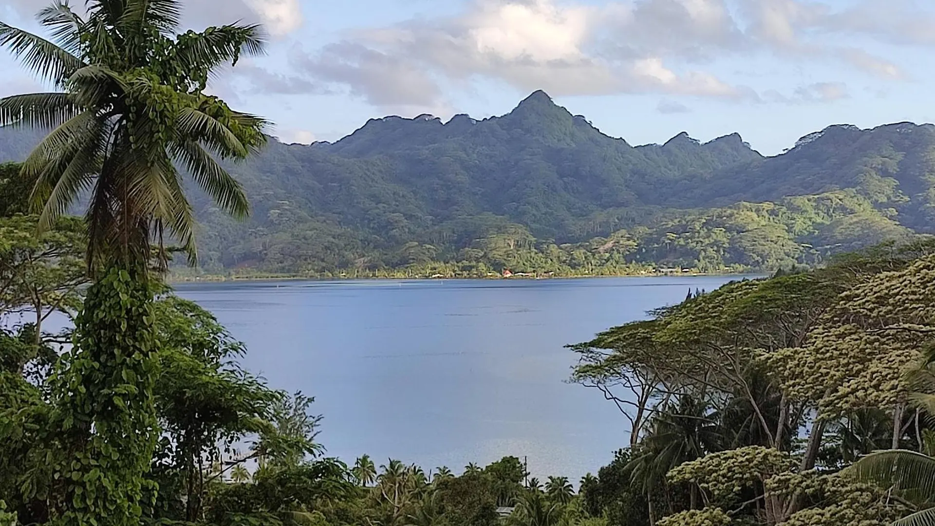 Villas Teakavehere - Fare Hibiscus Haapu Fransk Polynesien
